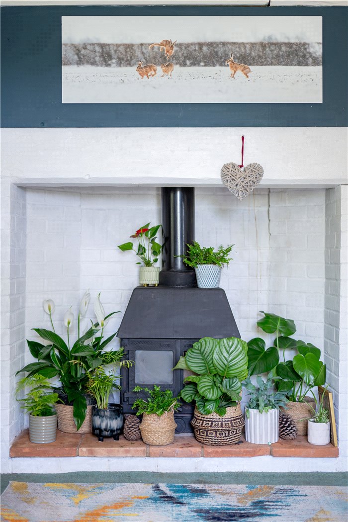Wood Burner